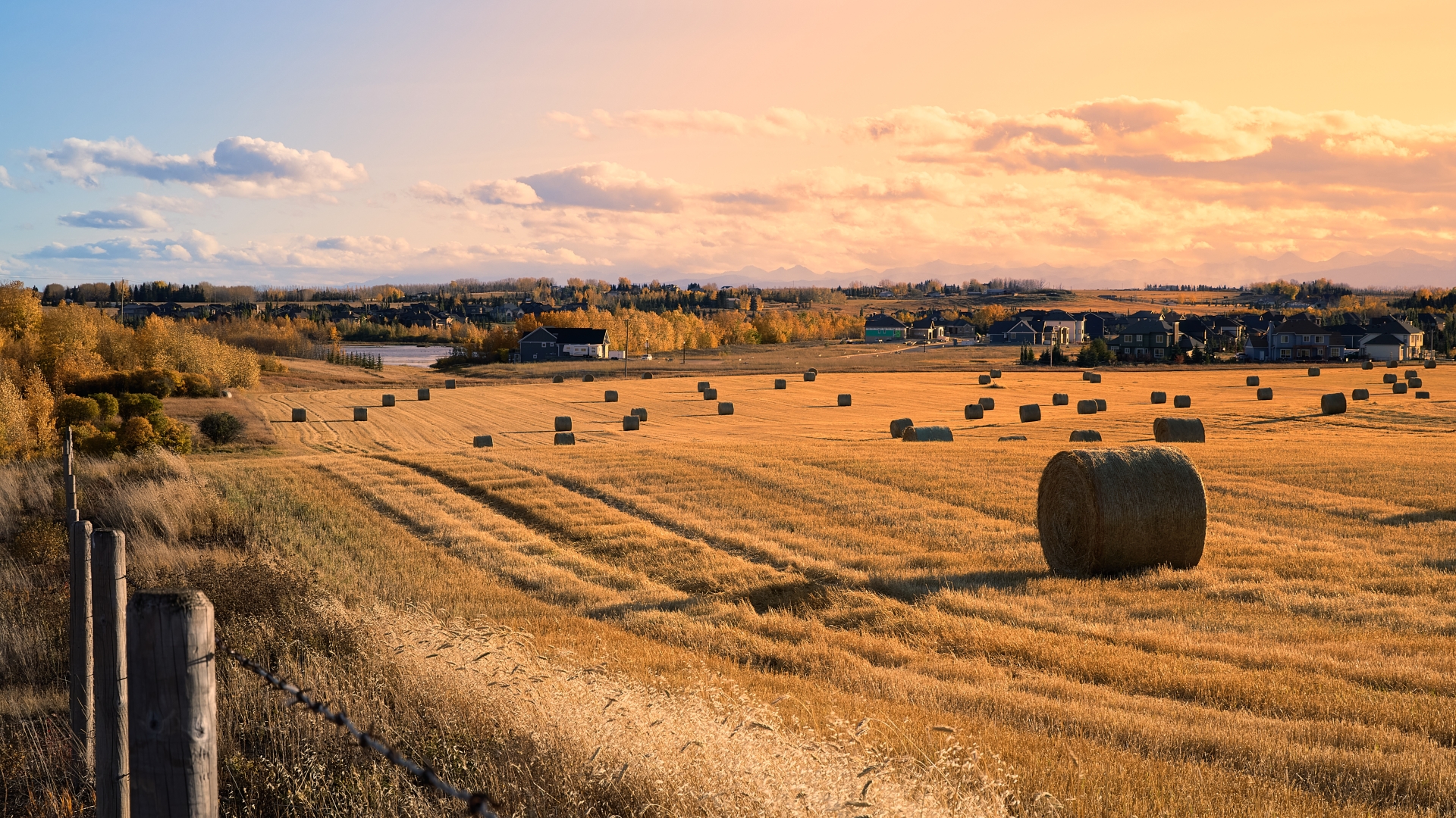Agriculture